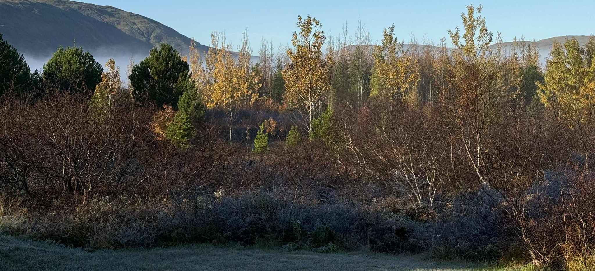 30th International Meeting on Dialogical Treatments of Psychosis